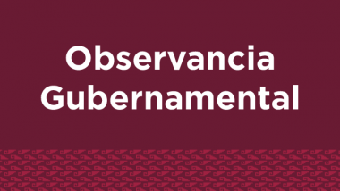Observancia Gubernamental