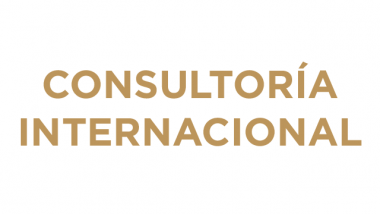 Consultoría Internacional